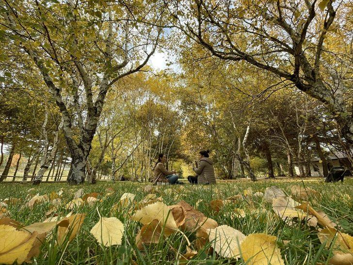 Erzurum'da parklar sonbahar renkleriyle güzelleşti G3