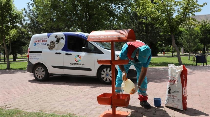 Kocasinan Belediyesi 4 bin 401 hasta ve yaralı hayvana sahip çıktı