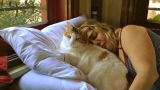 Sezen Aksu sokak hayvanları için öyle bir şey yaptı ki... 