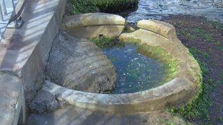 Eminönü İskelesi'nde bu halde bulundu! Benzeri Ayasofya'da