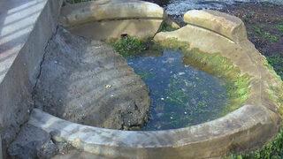 Bir benzeri Ayasofya'da! Eminönü İskelesi'nde keşfedildi: Paha biçilemez