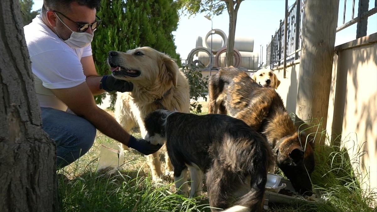 Hurda armat&uuml;rler sokak hayvanları i&ccedil;in su ve mama kabı oldu