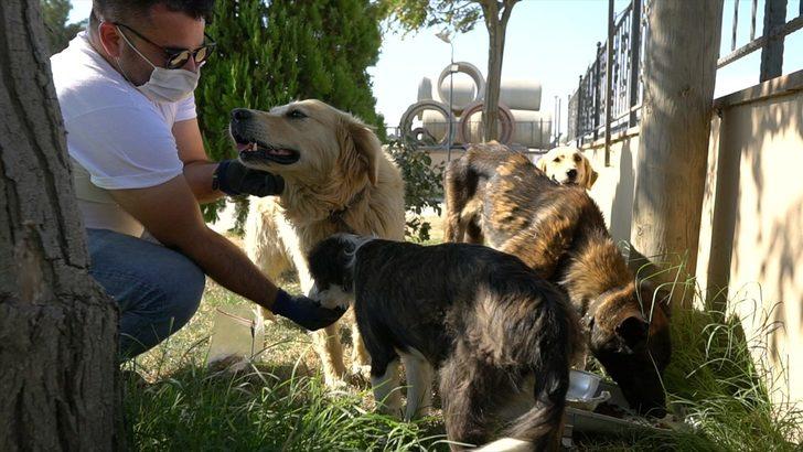 Hurda armatürler sokak hayvanları için su ve mama kabı oldu G1