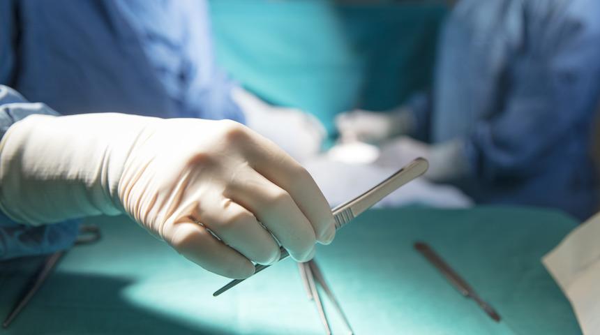 "Kısırlaştırma operasyonu"na tepki