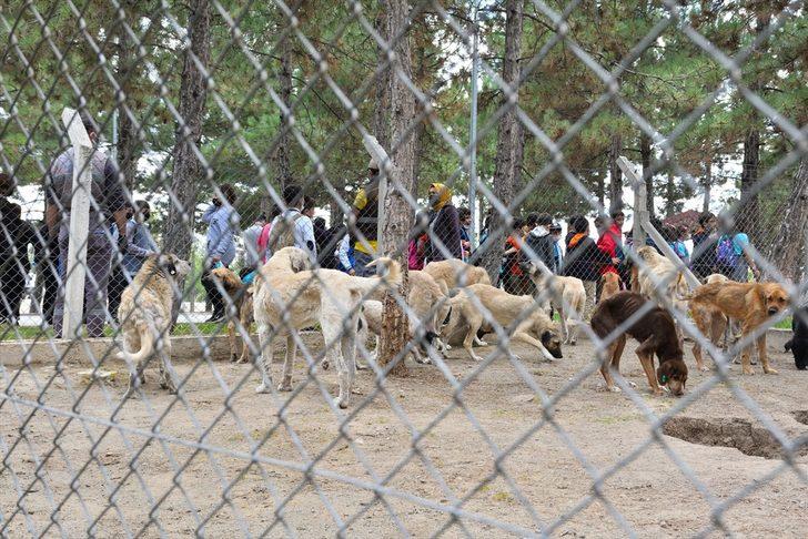 Çorum'a hayvan hastanesi yapılacak G3