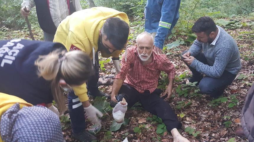 Kestane toplamak için gitti, kendini vurdu