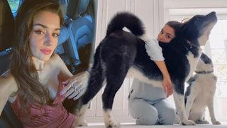 Hande Erçel Instagram'dan köpekleriyle çektiği videoyu paylaştı! Milyonlarca kez izlendi