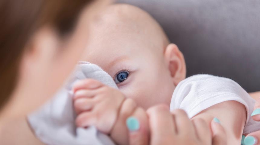 Bol ve kaliteli süt için 8 altın değerinde öneri!