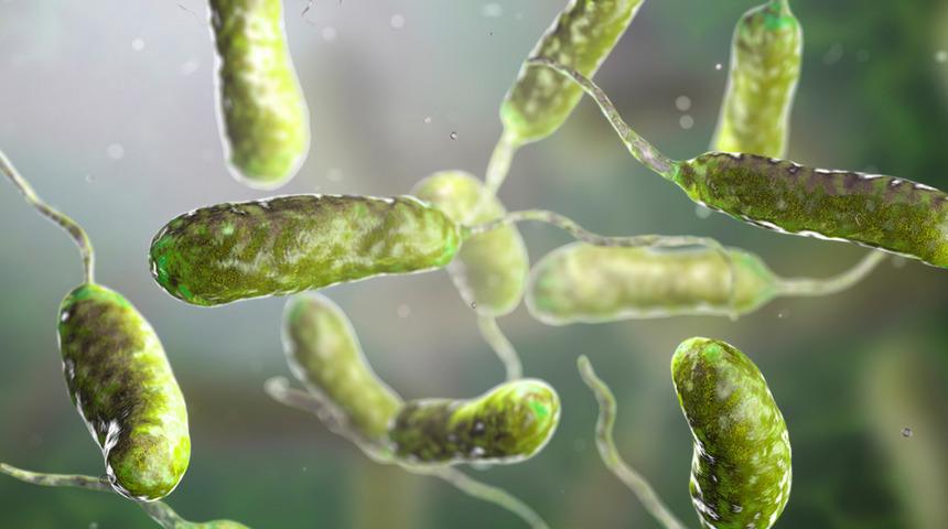 Nijerya'da kolera salgını