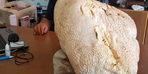 He found a 'giant' mushroom while traveling on the plateau: his weight is more than 20 kilograms