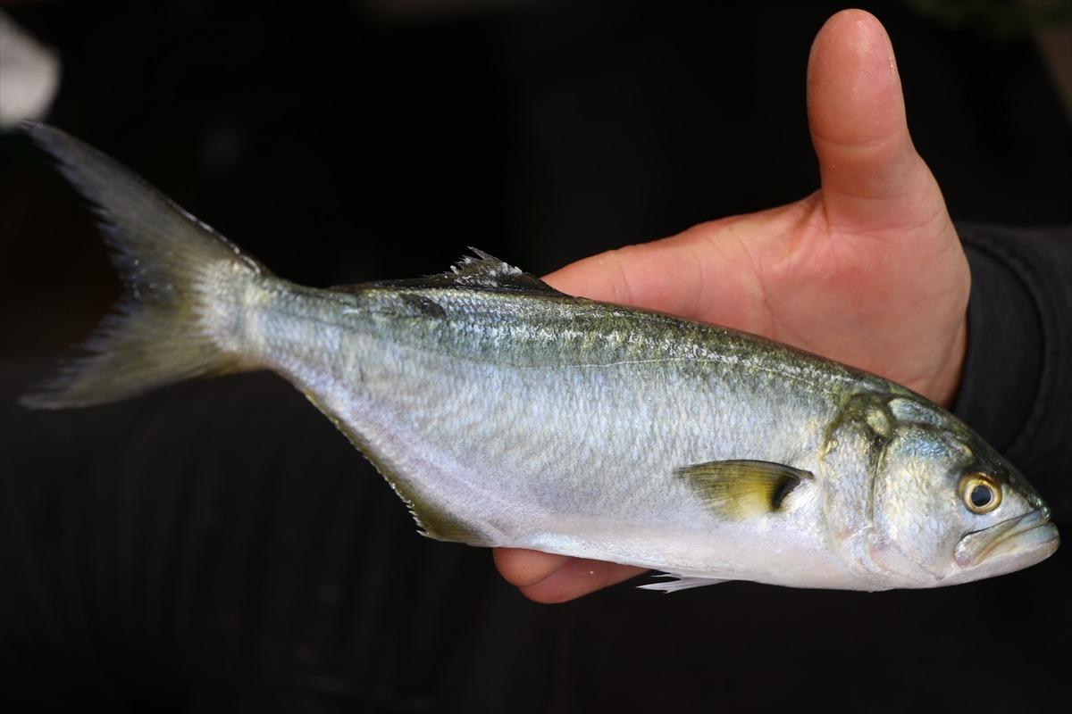 L&uuml;fer bolluğu tezgahları şenlendirdi