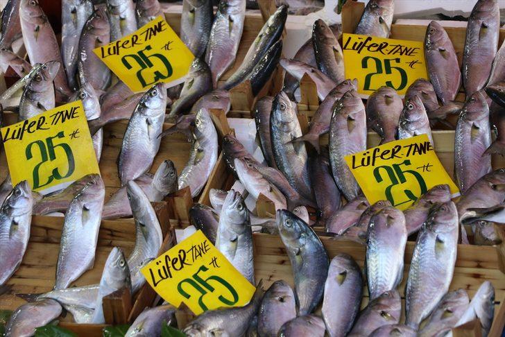 Lüfer bolluğu tezgahları şenlendirdi G2