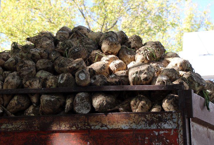 Nuri Şeker Uşak Şeker Fabrikası'nda 96. pancar alım kampanyası başladı G3