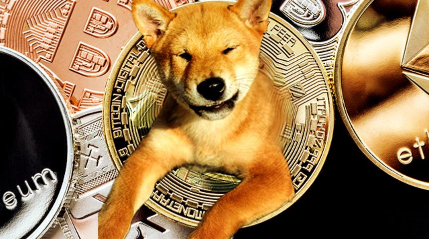 Elon Musk, Floki'yi paylaştı! Bitcoin kritik 50 bin dolar sınırını geçti