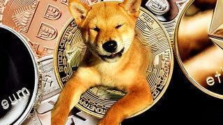 Elon Musk, Floki'yi paylaştı! Bitcoin kritik 50 bin dolar sınırını geçti