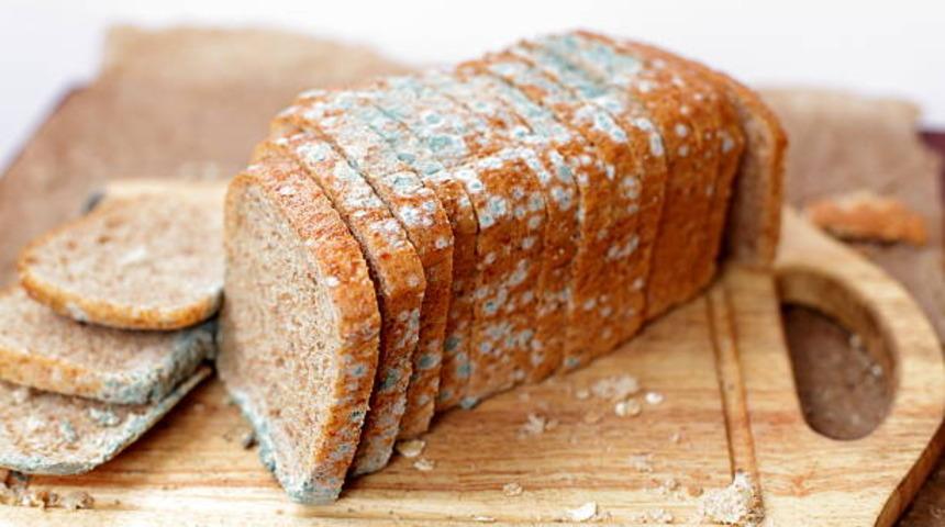 K&uuml;flenme problemi tarihe karışacak! Yiyeceklerinizi k&uuml;ften koruyacak en etkili y&ouml;ntemler