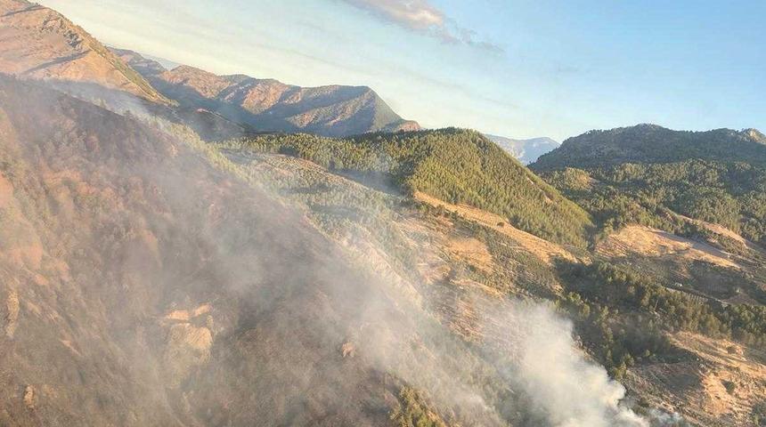 Son Dakika: Muğla Dalaman'da orman yangını