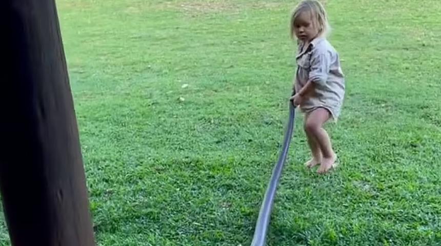 İki yaşındaki çocuğun yılan sevgisi tüyler ürpertti! Dev yılanı böyle sürükledi