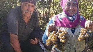 Çorum'daki cinayet davasında şoke eden savunma ve yürek burkan olay 