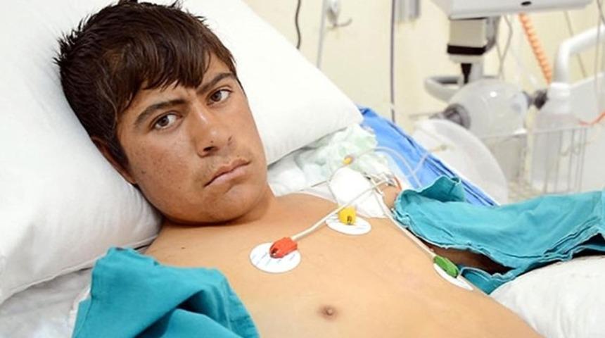 Kuşu kurtaran çobanın elleri kesilecek