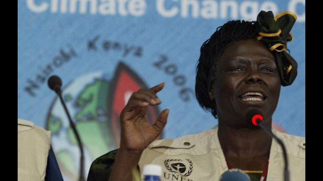 Wangari Mathai, HIV'in kökenine dair görüşleri nedeniyle eleştirilmişti