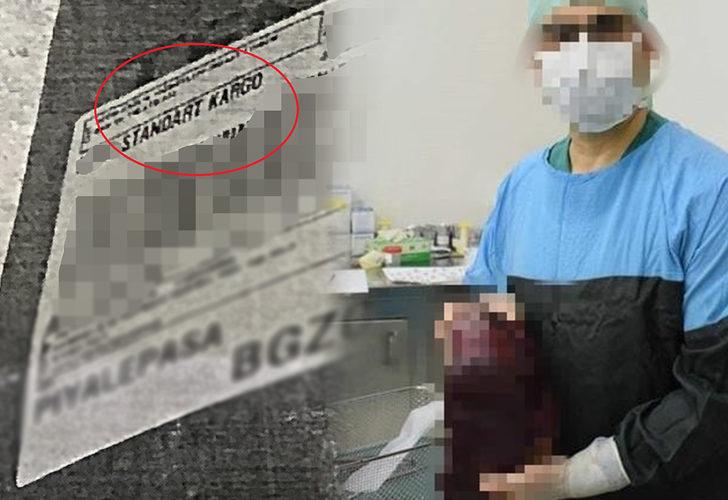 İsyan etti! Kargoda kaybolan dalak için şaka gibi ceza