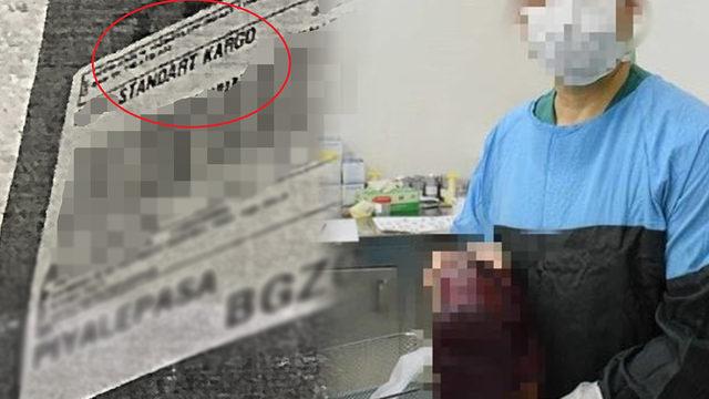 İsyan etti! Kargoda kaybolan dalak için şaka gibi ceza