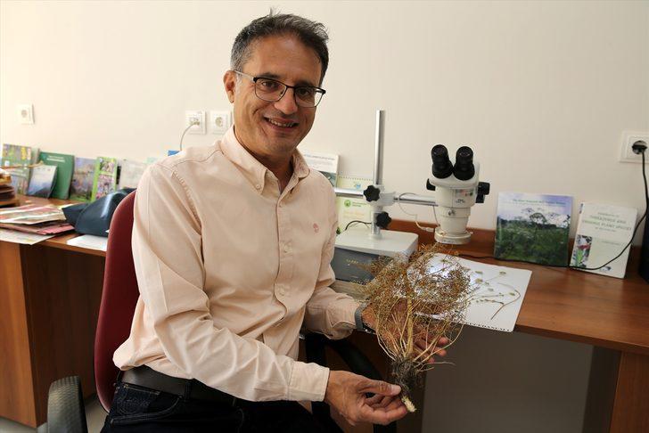 Bilim insanlarının ısrarlı araştırması endemik bitkiyi herbaryuma kazandırdı G1