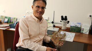 Bilim insanlarının ısrarlı araştırması endemik bitkiyi herbaryuma kazandırdı