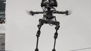 Robot Leonardo ile tanışın: Hem uçabiliyor hem de ipte yürüyebiliyor