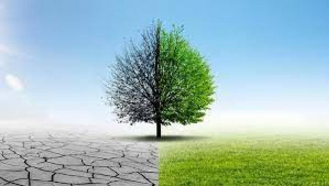 Paris İklim Anlaşması nedir? Paris İklim Anlaşması maddeleri ve ama&ccedil;ları neler?