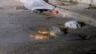 Ailesinin katledilişini görmüştü! Cani savunmasını böyle yaptı