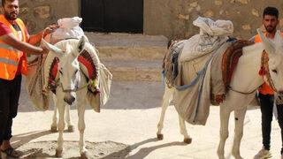 Mardin eşeklerinin mesaisi bitmiyor: Eşek olmasa iş yürümez