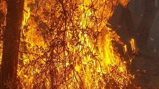 Kütahya'da 4 farklı noktada orman yangını: 4 saat sonra kontrol altına alındı