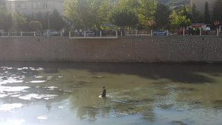 Korkunç olayı 5 yaşındaki kız çocuğu engelledi