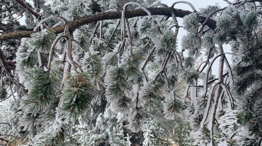 Termometreler eksi 10'u gördü, buz kesti! Karın şekli şaşkına çevirdi: Sadece Sarıkamış ve Alpler'de görüldü 