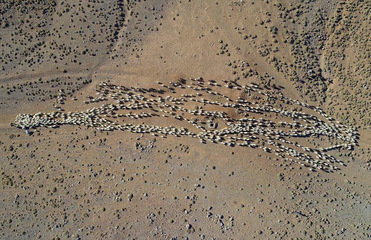 Göçerlerin günler sürecek zorlu dönüş yolculuğu başladı G3