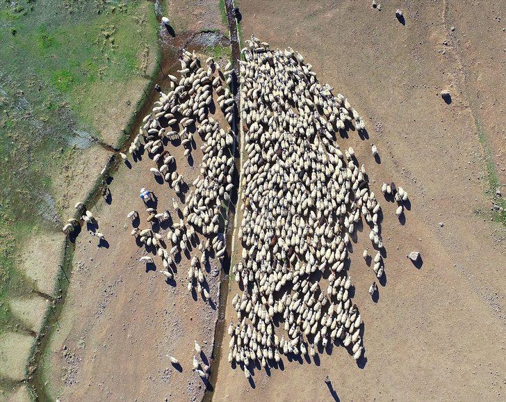 Göçerlerin günler sürecek zorlu dönüş yolculuğu başladı G4
