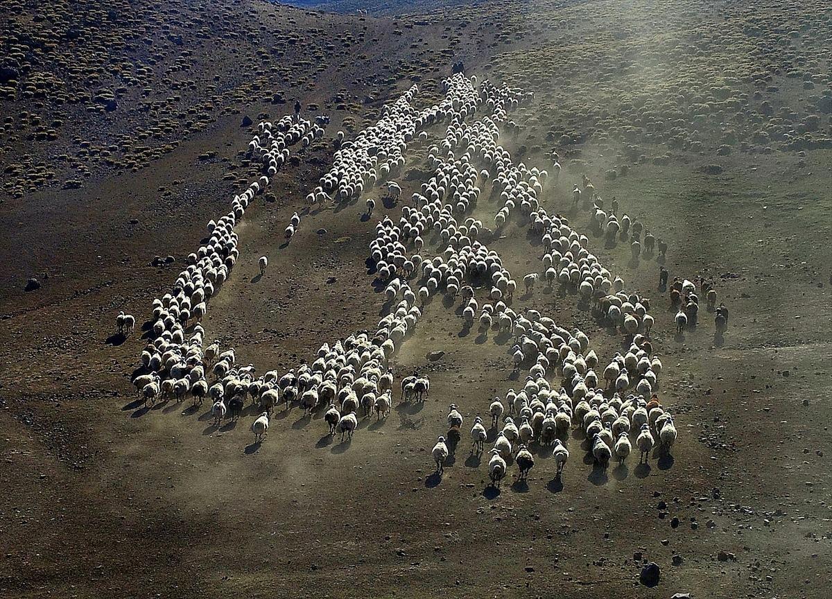 G&ouml;&ccedil;erlerin g&uuml;nler s&uuml;recek zorlu d&ouml;n&uuml;ş yolculuğu başladı
