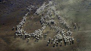 Göçerlerin günler sürecek zorlu dönüş yolculuğu başladı