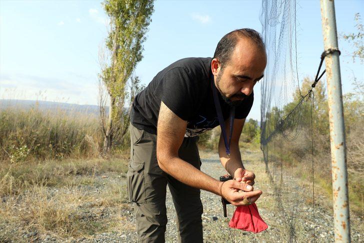 Türkiye'deki kuş türlerinden yüzde 70'i Iğdır'da kayıt altına alındı G2