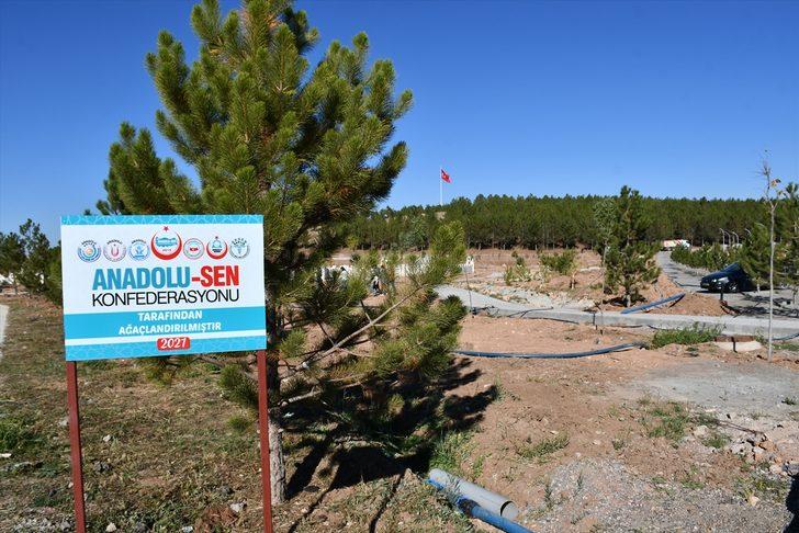 Sivas'ta orman yangınlarına dikkati çekmek için meyve fidanları toprakla buluşturuldu G1