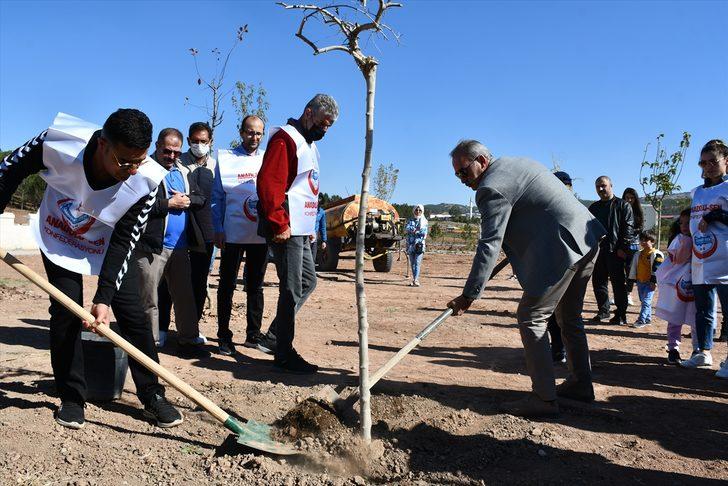 Sivas'ta orman yangınlarına dikkati çekmek için meyve fidanları toprakla buluşturuldu G2