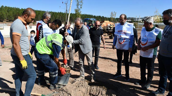 Sivas'ta orman yangınlarına dikkati çekmek için meyve fidanları toprakla buluşturuldu G3