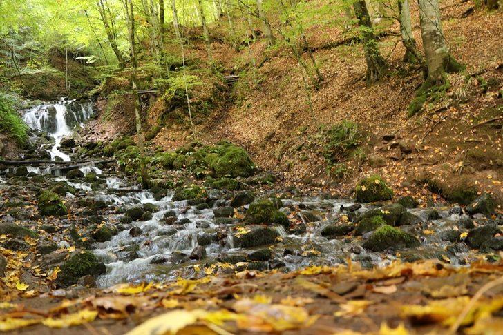Yedigöller'de sonbaharın gelişiyle renk cümbüşü yaşanıyor G1