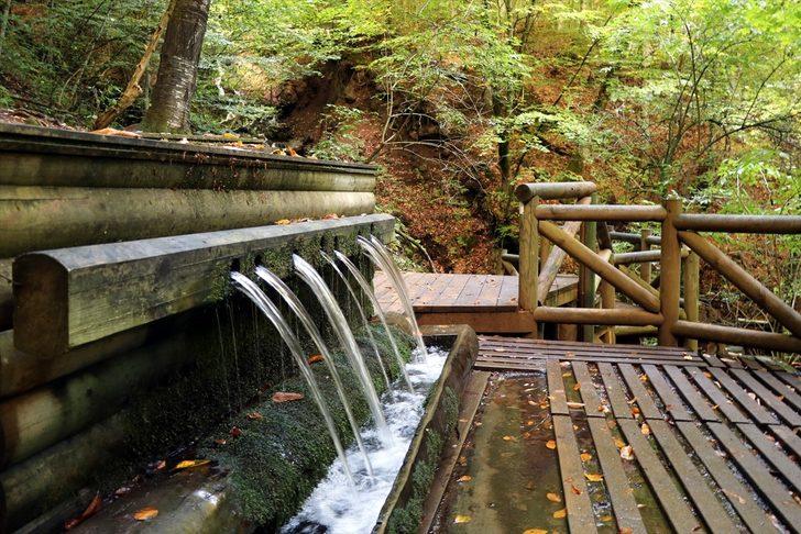 Yedigöller'de sonbaharın gelişiyle renk cümbüşü yaşanıyor G2