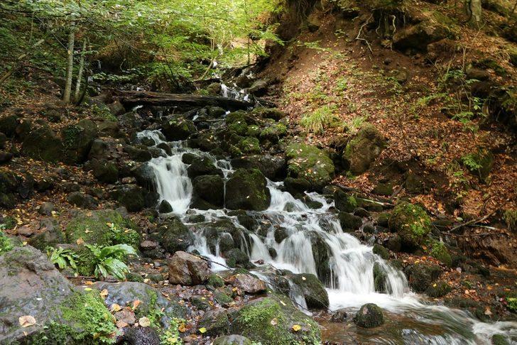 Yedigöller'de sonbaharın gelişiyle renk cümbüşü yaşanıyor G4