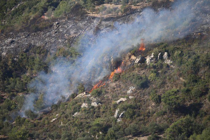 Hatay'da zeytinlik alanda çıkan yangın söndürüldü G1