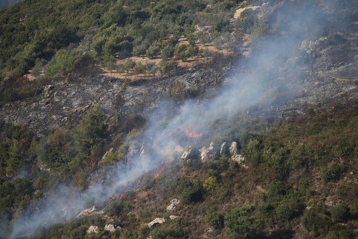 Hatay'da zeytinlik alanda çıkan yangın söndürüldü G3