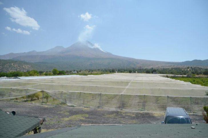 Arkadaşının tavsiyesiyle hobi olarak başladı, şimdi Avrupa'ya ihraç ediyor G4